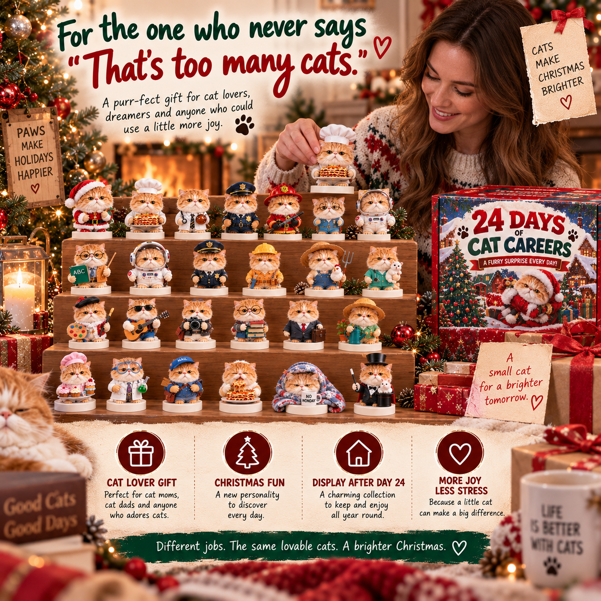 π±π24 Days of Cat Careers β Exotic Shorthair Christmas Collection