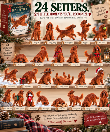 ❤️🐾24 Days of Irish Setter Spirit — Run Wild. Come Home. Repeat