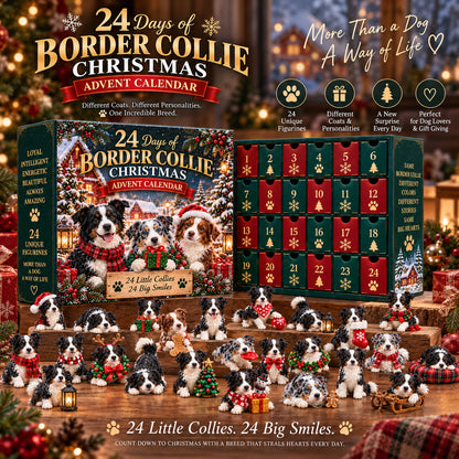 🐾 Ready for 24 Days of Border Collie Magic?! 🎄 2026 Advent Calendar – 24 Unique Paws & Personalities!