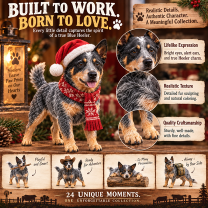 🐾 24 Days of Blue Heelers Advent Calendar – 24 Unique Australian Cattle Dog Figurines, Christmas Gift for Blue Heeler Lovers