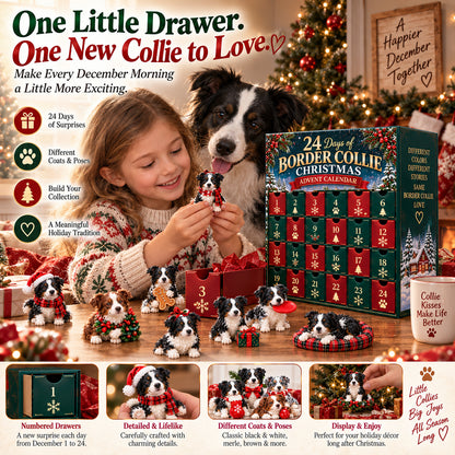 🐾 Ready for 24 Days of Border Collie Magic?! 🎄 2026 Advent Calendar – 24 Unique Paws & Personalities!
