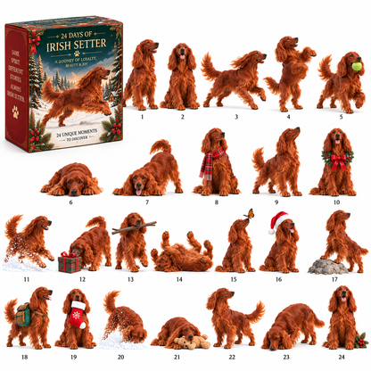 ❤️🐾24 Days of Irish Setter Spirit — Run Wild. Come Home. Repeat