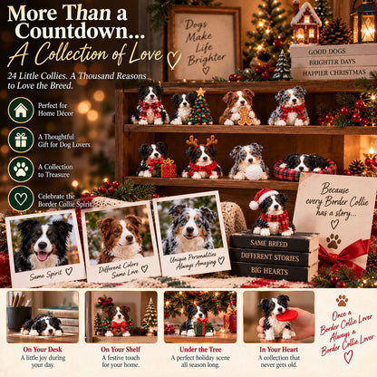 🐾 Ready for 24 Days of Border Collie Magic?! 🎄 2026 Advent Calendar – 24 Unique Paws & Personalities!