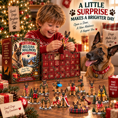 24 Days of Belgian Malinois – Brave Hearts, Loyal Companions | Christmas Advent Calendar