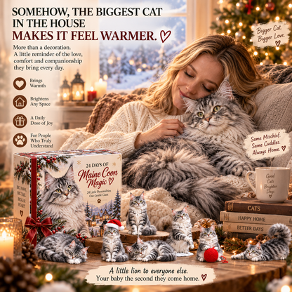 ❤️24 Days of Maine Coon Magic — 24 Little Personalities, One Gentle Giant