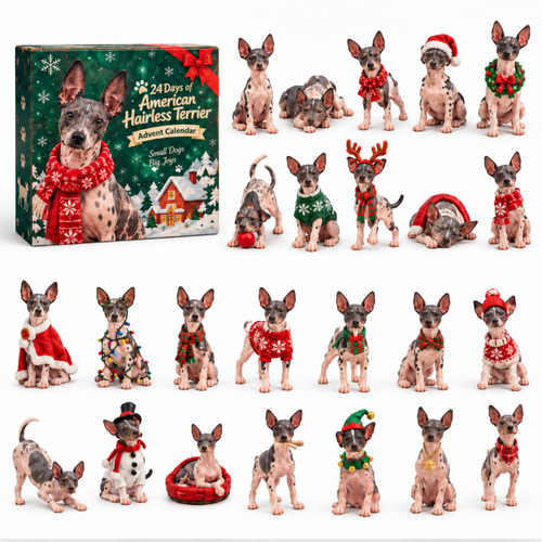 🐾 No Fur, All Love! ❤️ – 24-Day American Hairless Terrier Advent Calendar 🎄 | Christmas Collectible Figurines