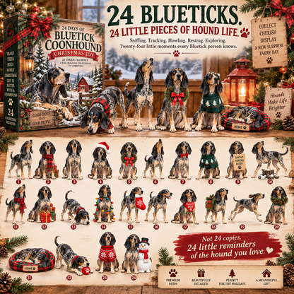 24 Days of Bluetick Coonhound Love — Born to Follow the Trail, Always Finds Home ❤️🎄