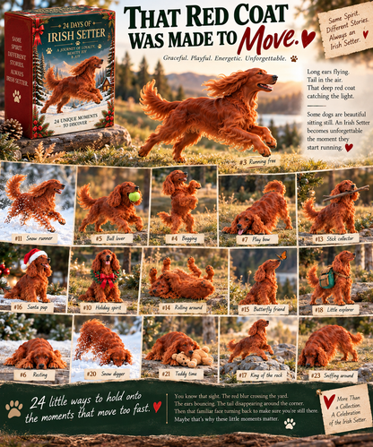 ❤️🐾24 Days of Irish Setter Spirit — Run Wild. Come Home. Repeat