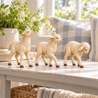 Three Lambs Collection