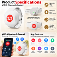 WiFi & Bluetooth