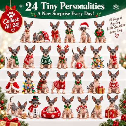 🐾 No Fur, All Love! ❤️ – 24-Day American Hairless Terrier Advent Calendar 🎄 | Christmas Collectible Figurines
