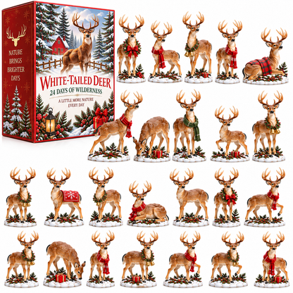 🦌 24 Days of White-Tailed Deer — A Little Wilderness Every Day