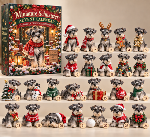 2026 Miniature Schnauzer Christmas Countdown – 24 Little Companions 🐾